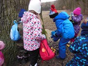 Výprava do lesa za zvířátky